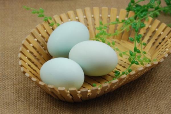 鴨蛋孵化需要多長時間 怎么判斷鴨蛋壞了