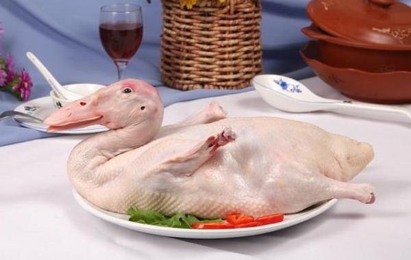 鴨子的功效與作用 鴨子的營養價值