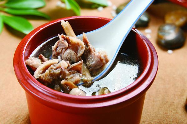 番鴨湯怎么做好吃 番鴨湯家常做法大全