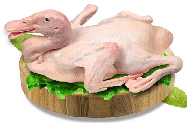 番鴨市場價格多少錢一斤 番鴨不能和什么一起吃