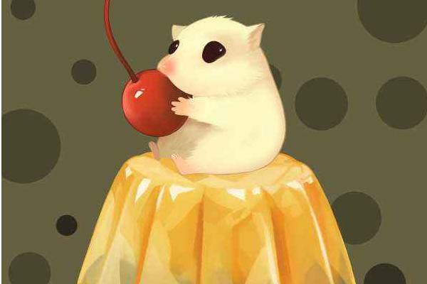 夢見耗子是什么意思 女人夢到死耗子有什么預兆