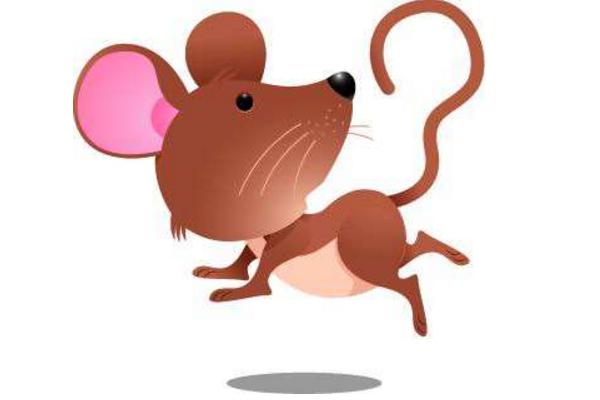 夢見耗子是什么意思 女人夢到死耗子有什么預兆