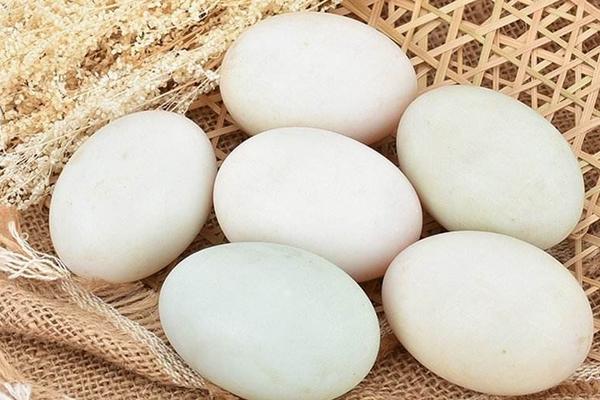 海鴨蛋市場價格多少錢一斤 海鴨蛋怎么吃