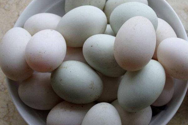 鴨蛋不能和什么一起吃 什么人不能吃鴨蛋