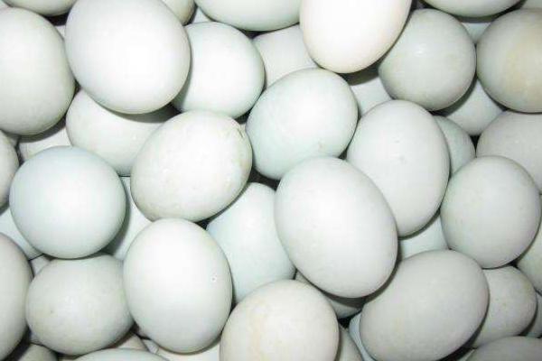 鴨蛋可以做蛋糕嗎 鴨蛋怎么去腥