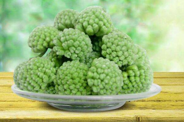 綠蘿花市場價格多少錢一斤 綠蘿花的功效作用