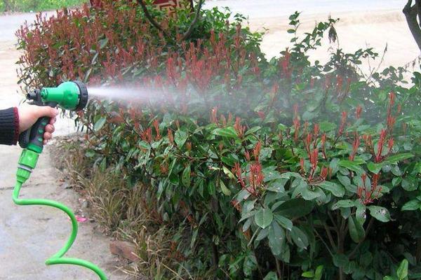 夢見水是什么意思 女人夢到在水里游泳有什么預(yù)兆