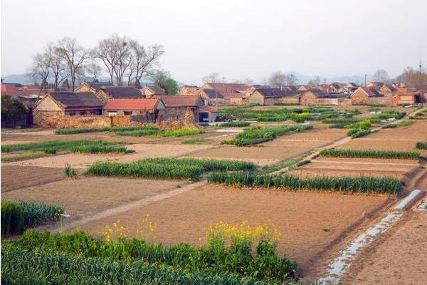 夢見故鄉是什么意思 夢到故鄉的老事物有什么預兆