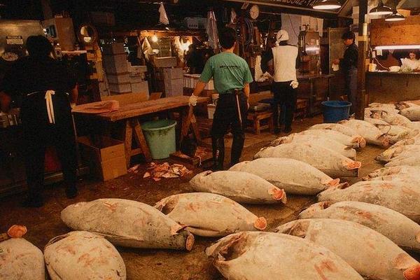 夢見買魚是什么意思 女人夢到去菜市場買魚有什么預兆