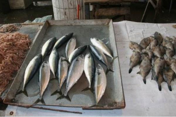 夢見買魚是什么意思 女人夢到去菜市場買魚有什么預兆