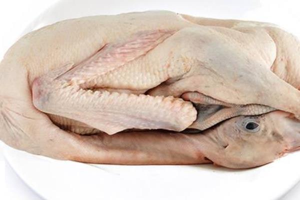 鵝肉是發(fā)物嗎 鵝肉是涼性還是溫性