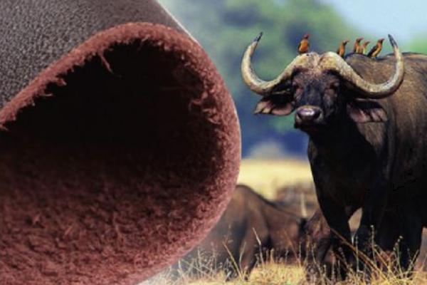 怎么知道是不是牛皮 怎么辨別是不是牛皮