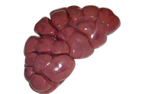  牛腰子補腎嗎 牛腰子怎么處理