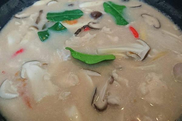 雞肉燉多久才能熟 雞肉燉不爛怎么補救