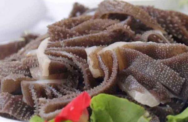 牛百葉是什么東西 牛百葉怎么泡發(fā)