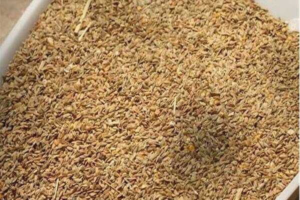 鴨飼料市場價格多少錢一斤(袋)鴨飼料怎么配制