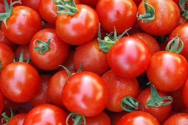 夢見西紅柿是什么意思 夢見好多熟了的西紅柿有什么預兆