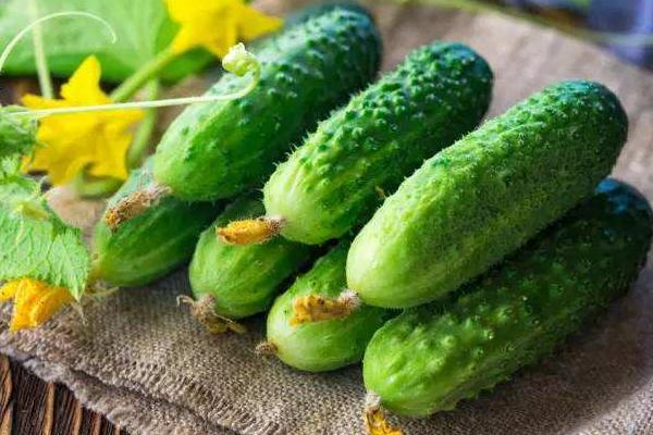 夢見黃瓜是什么意思 夢見黃瓜藤上結滿黃瓜去摘有什么預兆