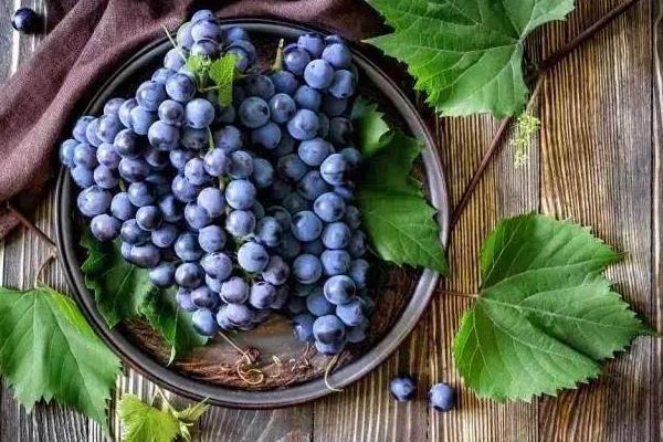 夢(mèng)見葡萄是什么意思 夢(mèng)見葡萄樹上結(jié)滿葡萄熟了有什么預(yù)兆