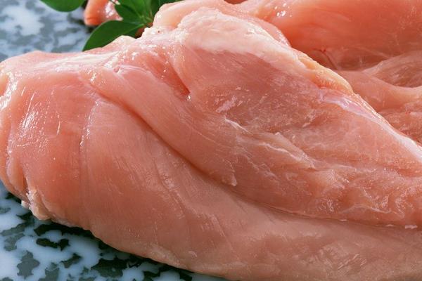 貓能吃生的雞胸肉嗎 貓可以天天吃雞肉嗎