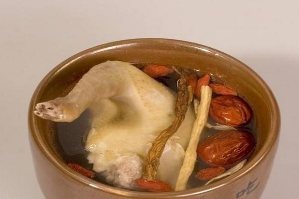 乳鴿和老鴿哪個營養好 孕婦可以吃乳鴿嗎