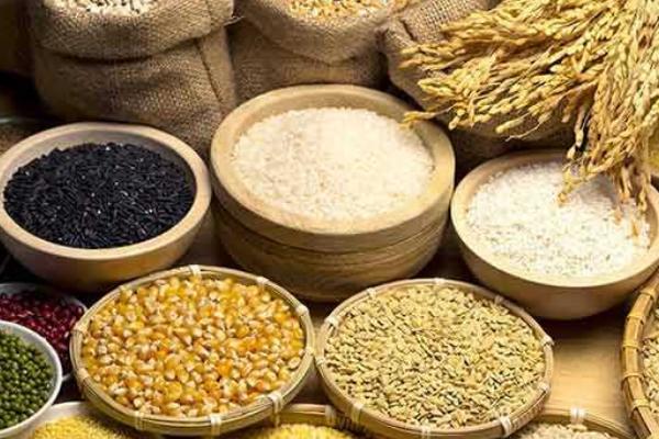 乳鴿和老鴿哪個營養好 孕婦可以吃乳鴿嗎