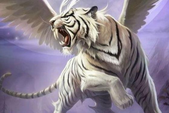 1962、1974、1986、1998、2010、2022年屬虎的分別是什么命 屬虎的和什么屬相最配