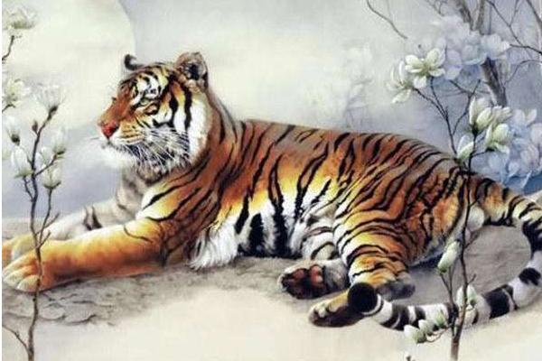 屬虎的和什么屬相最配（男、女） 屬虎的幾月出生最好