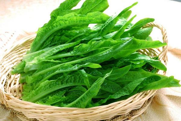 狗能吃羊肉嗎 羊肉變綠色還能吃嗎