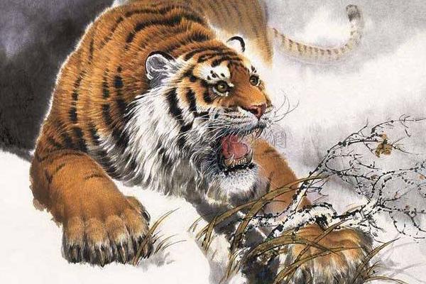 屬虎的今年多大(2018年) 屬虎今年運(yùn)勢(shì)如何(財(cái)運(yùn)、姻緣)