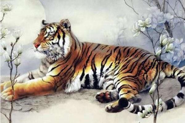 屬虎的今年多大(2018年) 屬虎今年運(yùn)勢(shì)如何(財(cái)運(yùn)、姻緣)