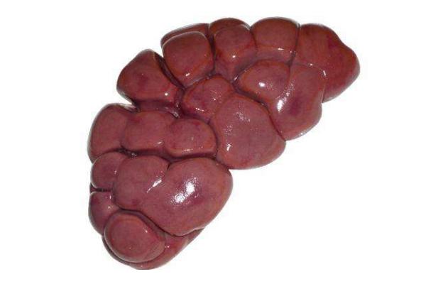 牛腰子為什么沒人吃 牛腰子為什么那么便宜