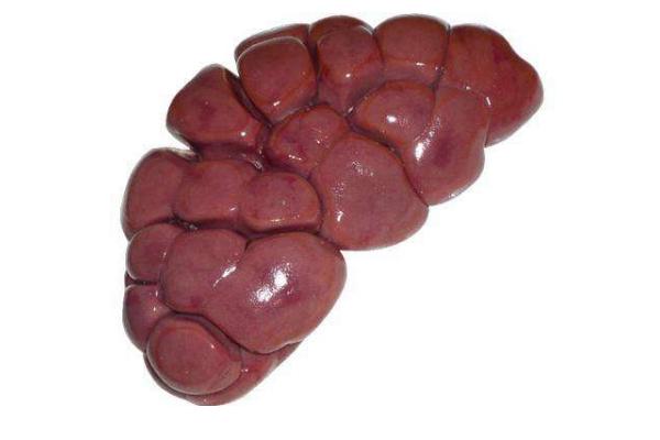 牛腰子怎么做好吃 吃牛腰子有什么好處