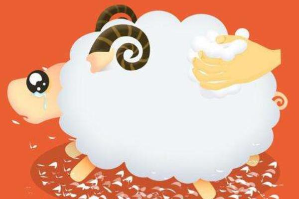 羊毛黨是什么意思 薅羊毛是什么意思