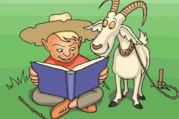 什么是羊群效應 羊群行為的原因