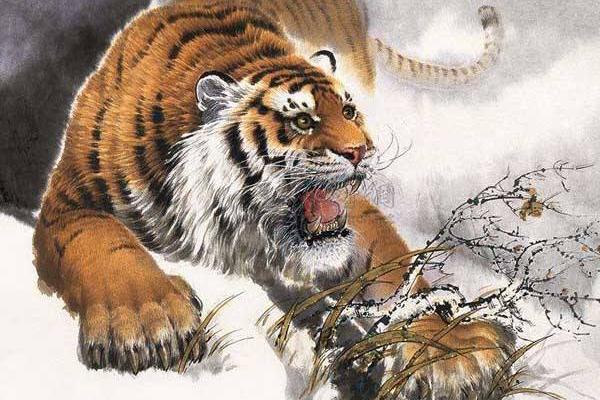 屬虎的是什么性格 屬虎的幸運數字是多少