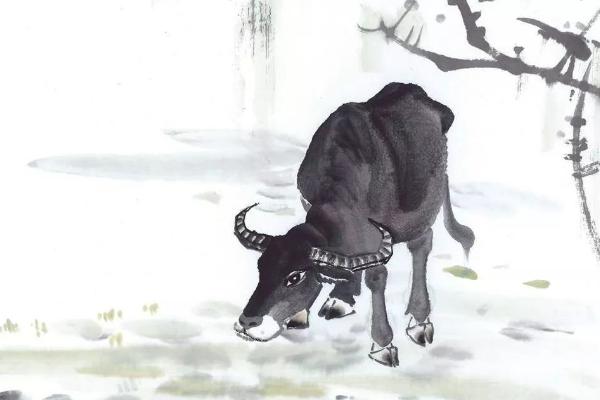 屬牛的和什么屬相最配（男、女） 屬牛的幾月出生最好