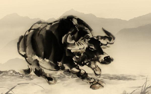 屬牛的今年多大(2018年) 屬牛今年運勢如何(財運、姻緣)