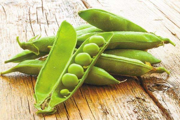 荷蘭豆老了就是豌豆嗎 生豌豆有毒嗎