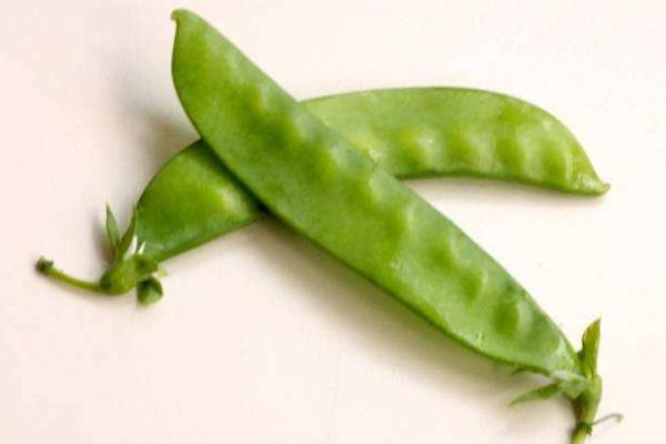 荷蘭豆老了就是豌豆嗎 生豌豆有毒嗎