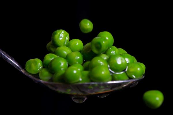 荷蘭豆老了就是豌豆嗎 生豌豆有毒嗎