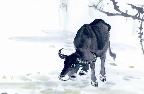 屬牛的是什么性格 屬牛的幸運數(shù)字是多少