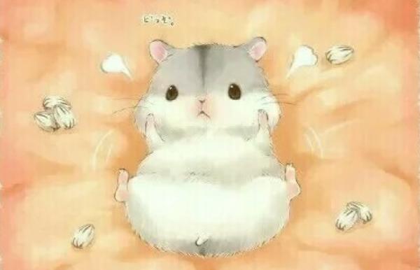 屬鼠的和什么屬相最配（男、女） 屬鼠的幾月出生最好