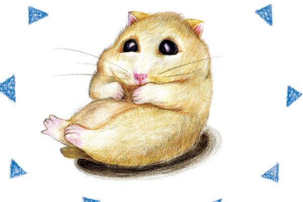 屬鼠的和什么屬相最配(男、女) 屬鼠的幾月出生最好