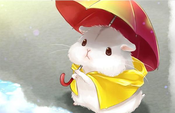 屬鼠的和什么屬相最配(男、女) 屬鼠的幾月出生最好