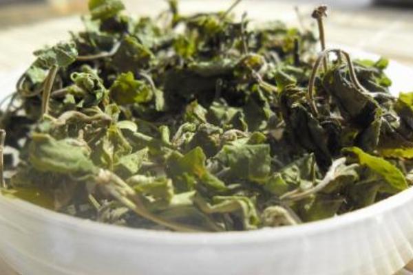 酸棗葉茶功效與作用 酸棗葉茶的副作用