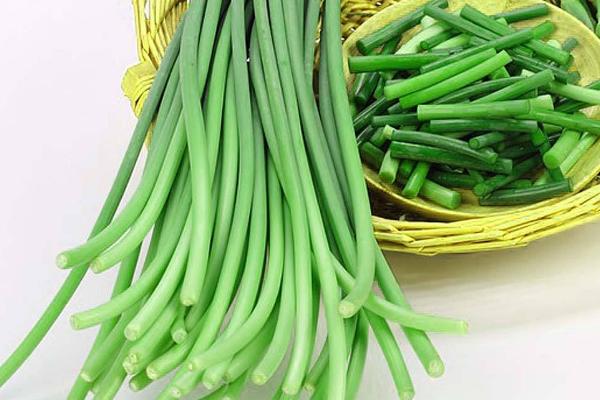 蒜苔、蒜苗、蒜黃、蒜薹之間的區別分別是什么 吃蒜苔有什么好處