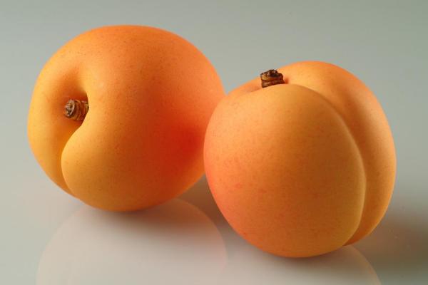 杏子吃多了會怎么樣 杏子副作用