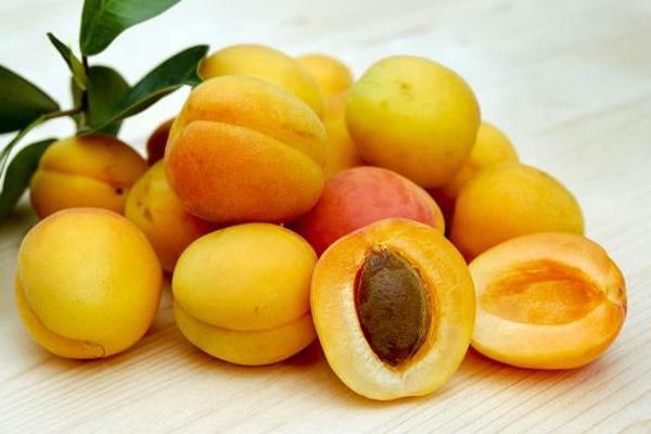 杏子吃多了會怎么樣 杏子副作用