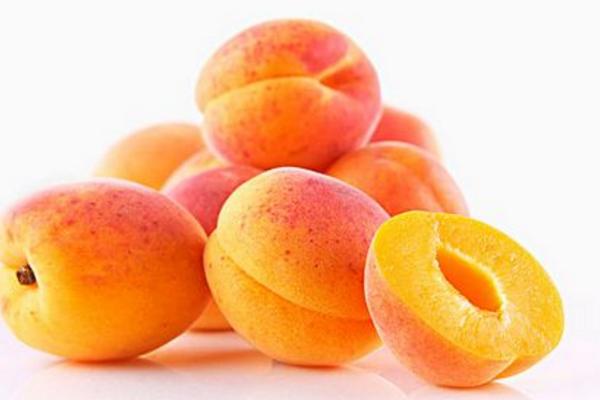 杏子圖片大全 杏子是水果嗎